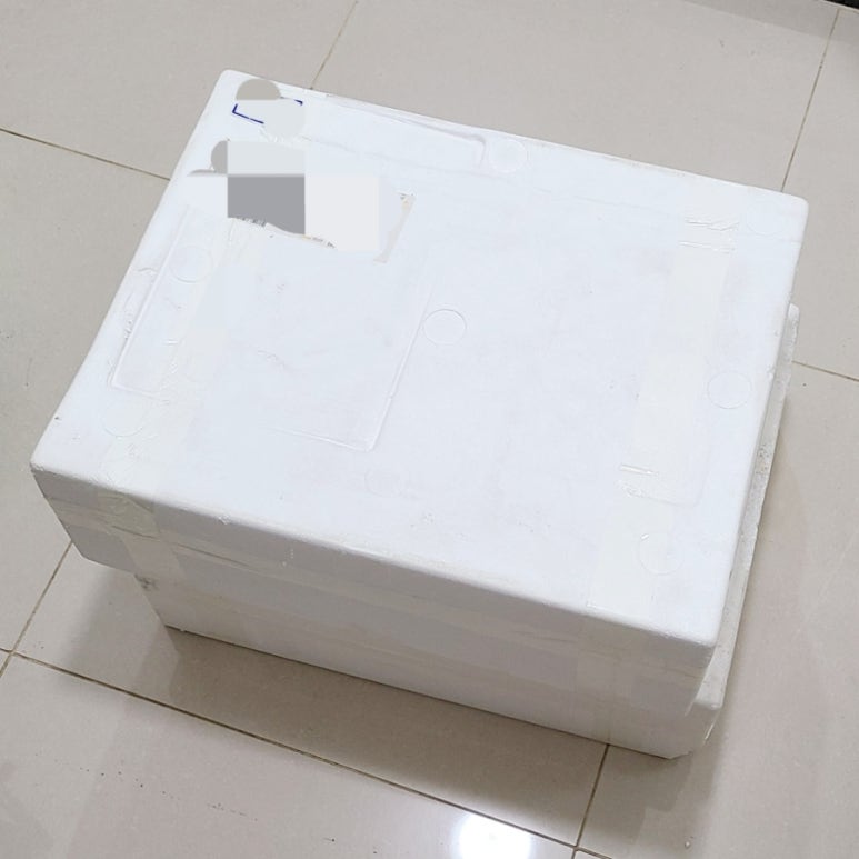 파토리아누오바 이미지