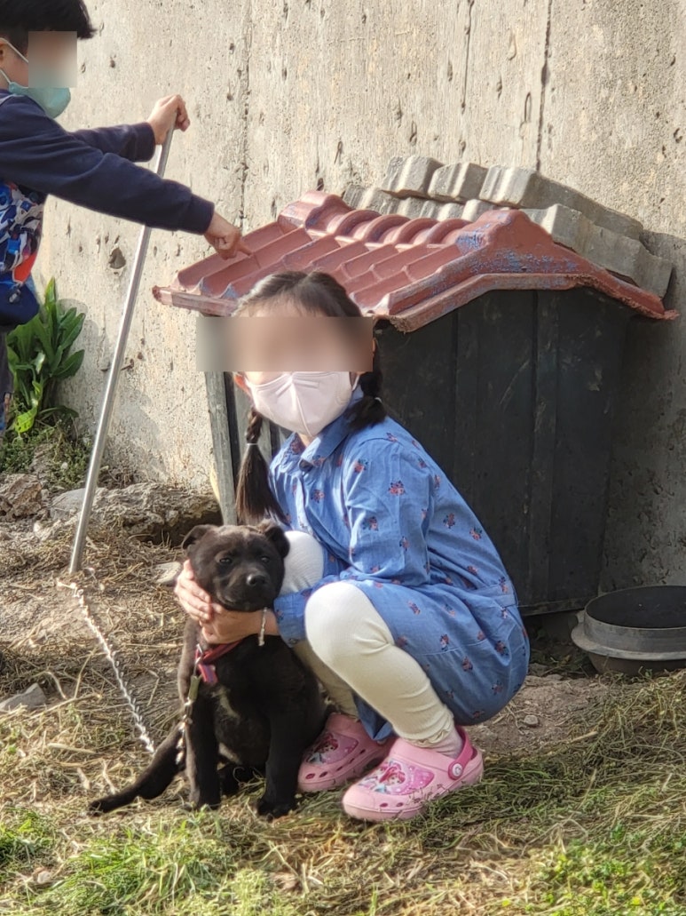 정이용원 이미지