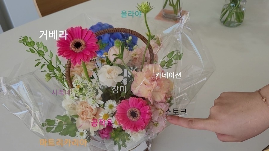 본비플레르 이미지