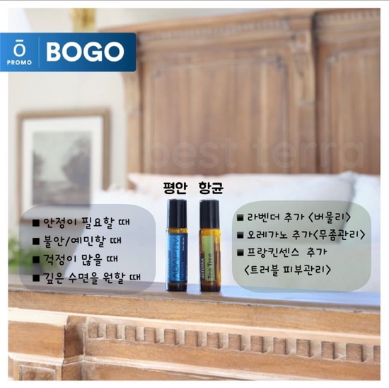 오일하우스청주 이미지