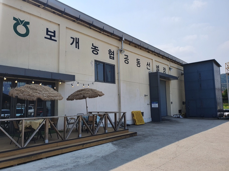 보개바람 이미지