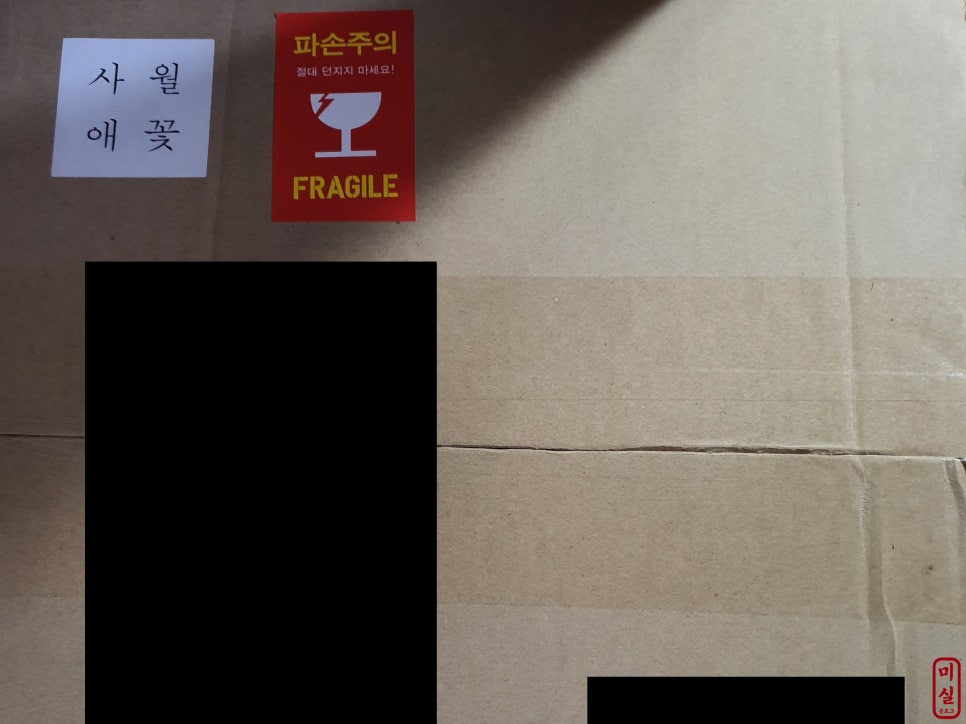 사월애꽃 이미지