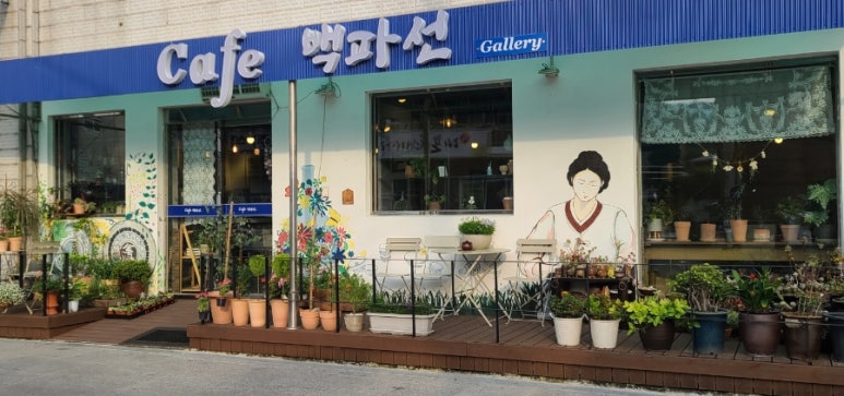 까페백파선 이미지
