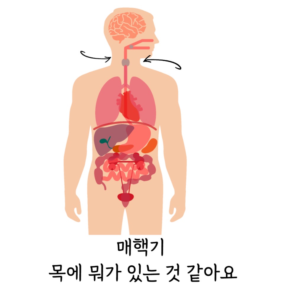미그루한의원 이미지
