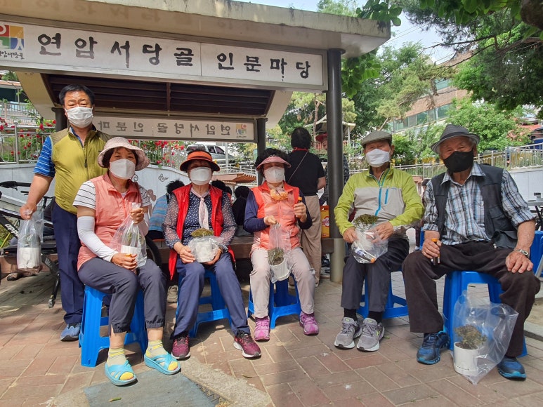 정꽃피우다 이미지