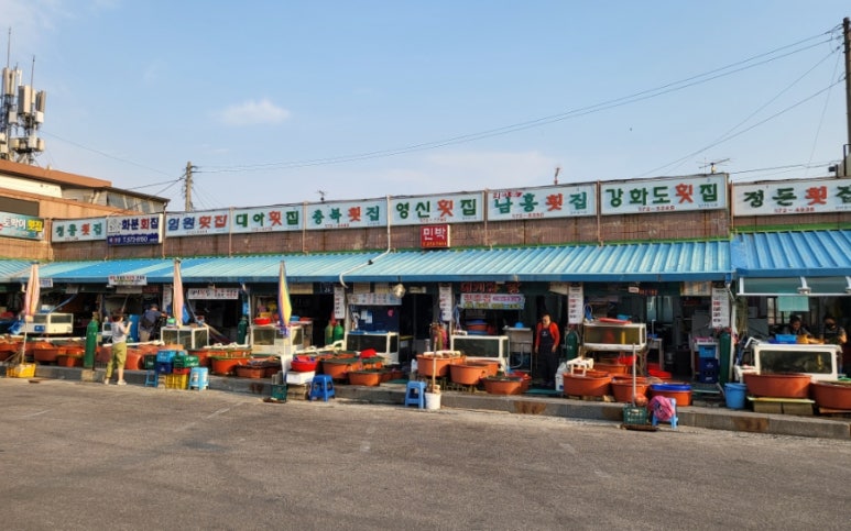 캠프오슬로 이미지