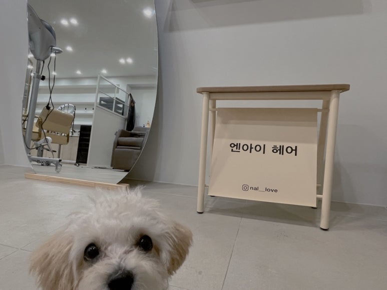 엔아이헤어 이미지