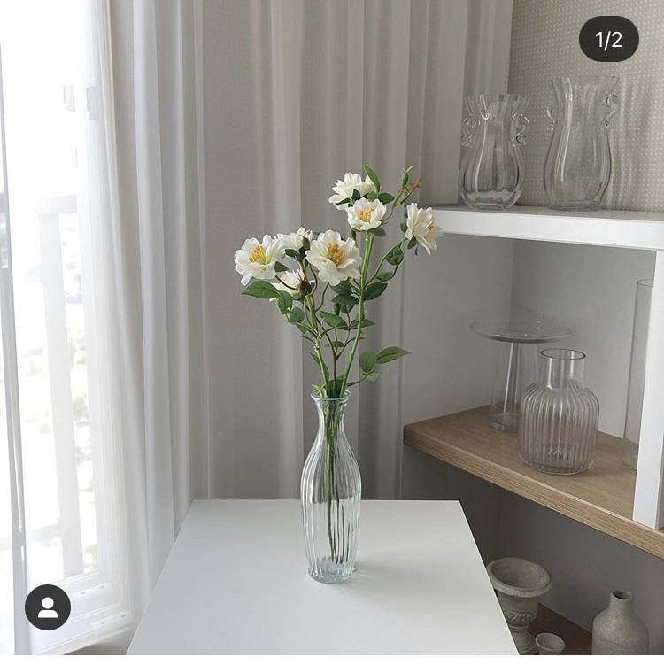 사월애꽃 이미지