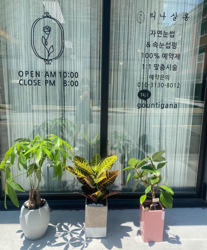 티나살롱 이미지
