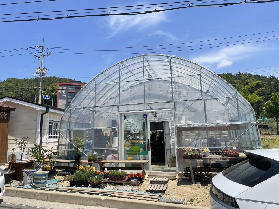 오베르화원 이미지