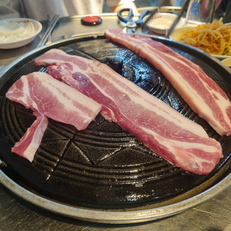 고기꿉다 이미지
