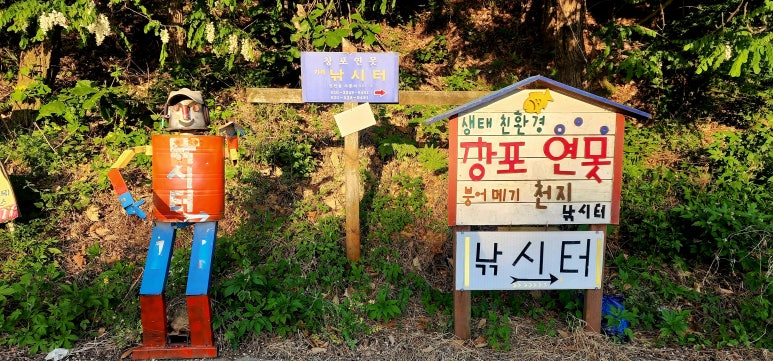 창포연못낚시터 이미지