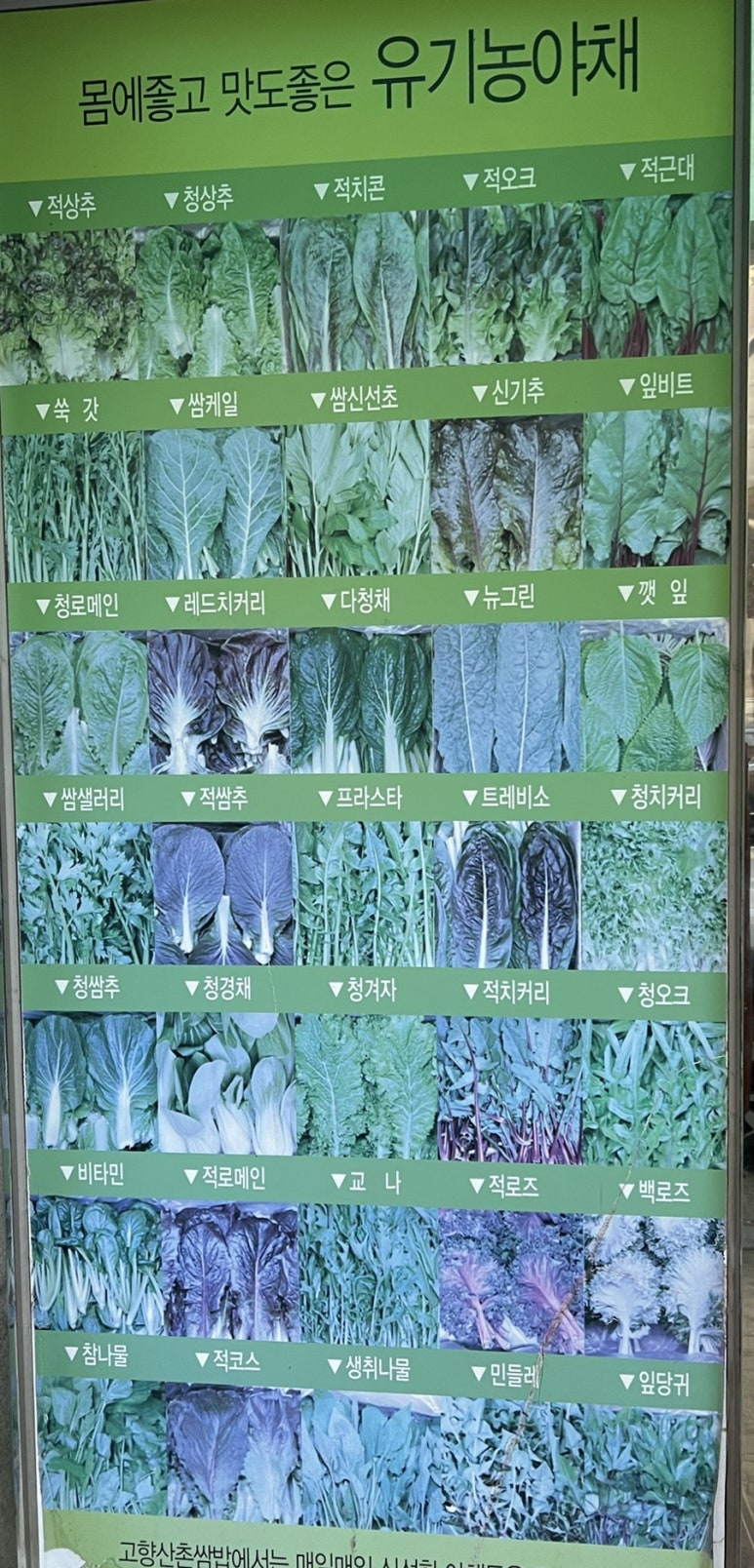 산촌쌈밥 이미지