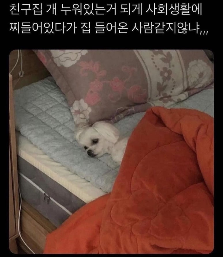 투어 닥터 이미지