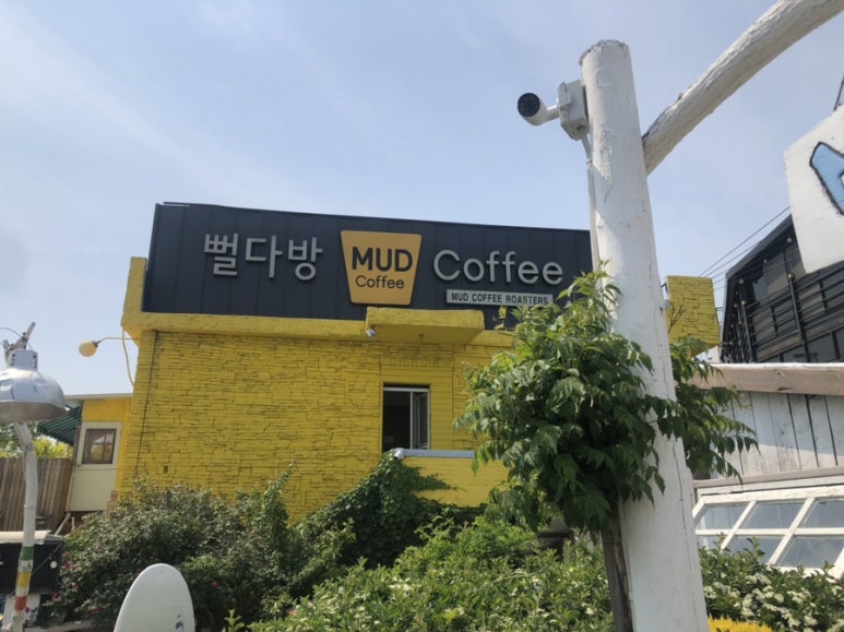 입실다방 이미지