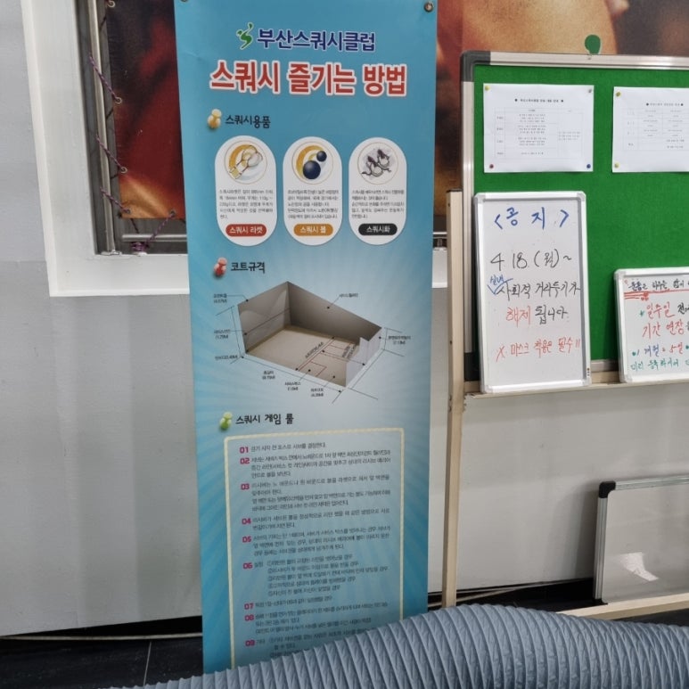 부산스쿼시클럽 이미지