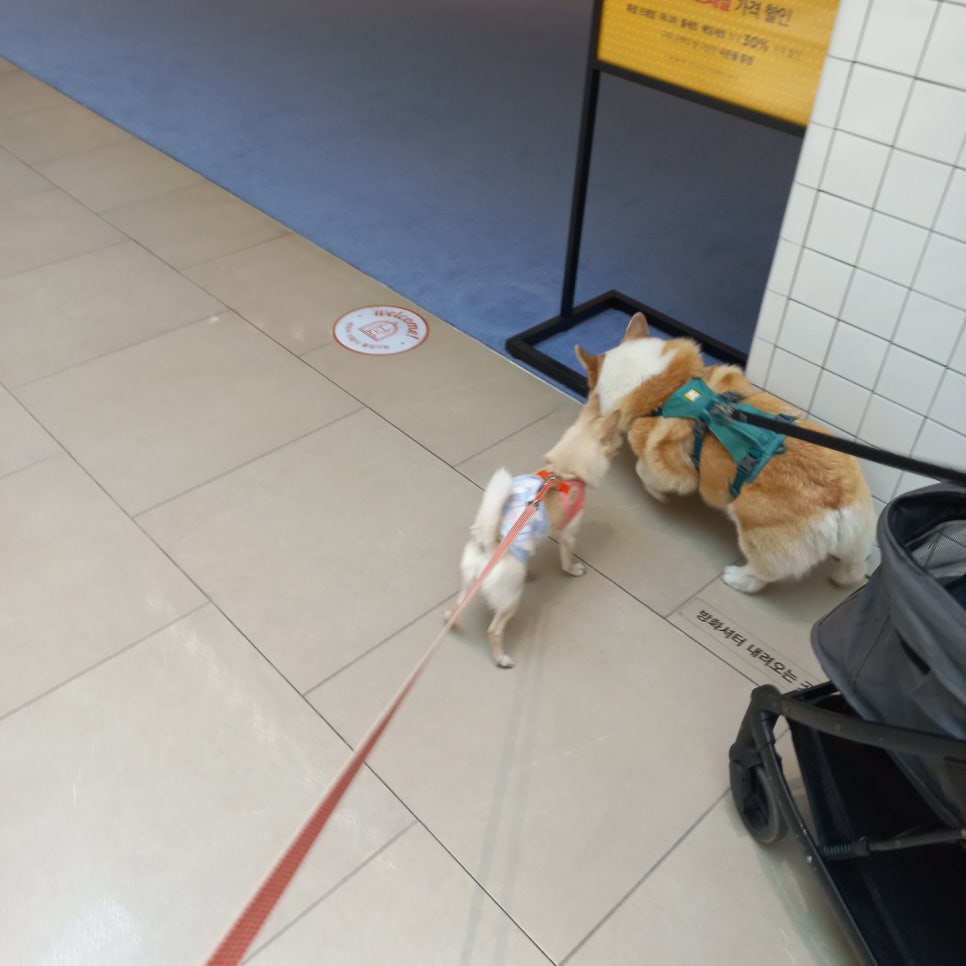 (주)친구네 이미지