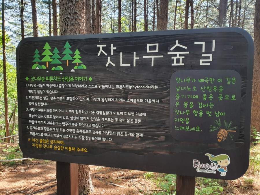 관중 군락지 이미지