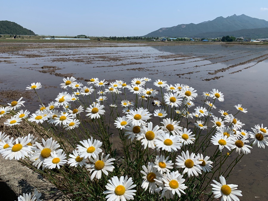 물덴동산 이미지