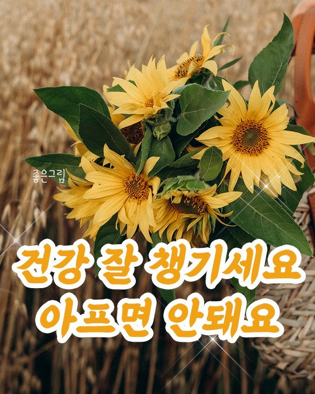 보다나은 이미지