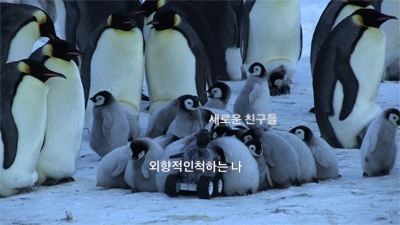 놀던스파이 이미지