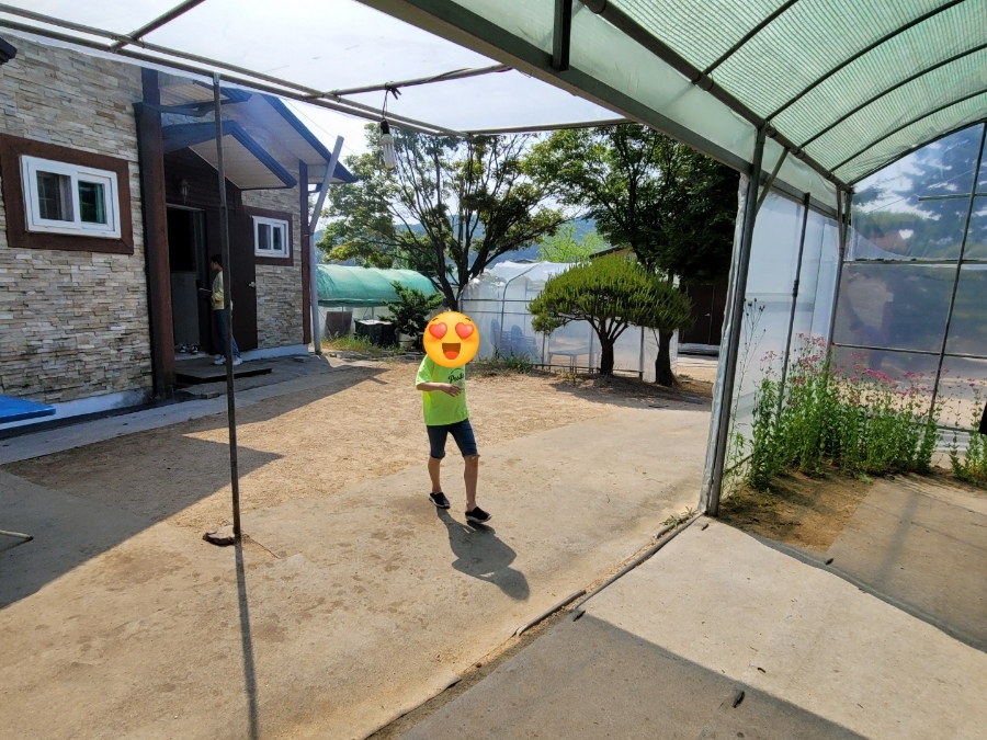 일일일영 이미지