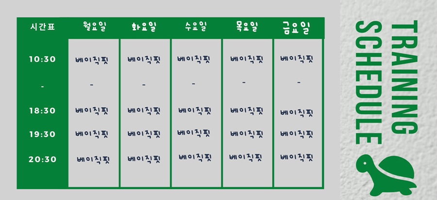 크로스핏터틀 이미지