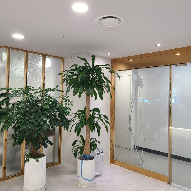 강남더케이의원 이미지