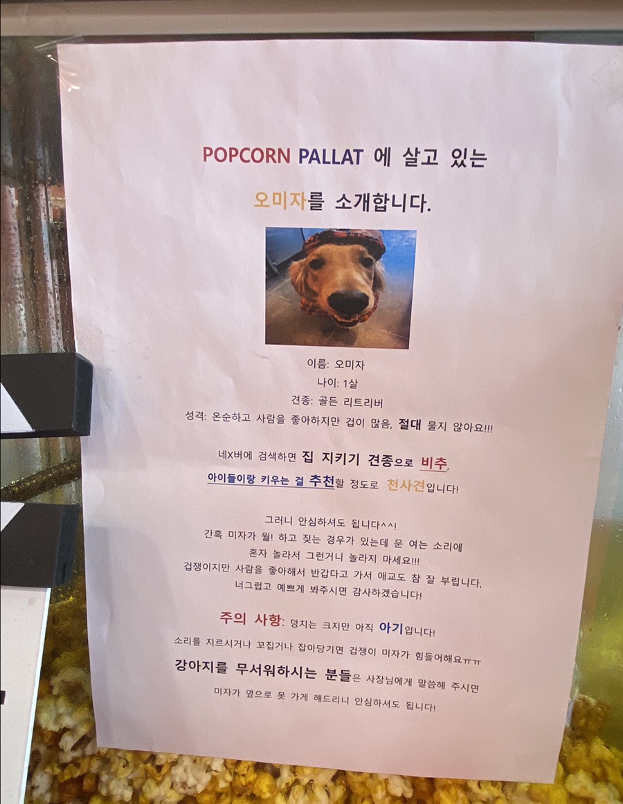 팝콘팔라트 이미지