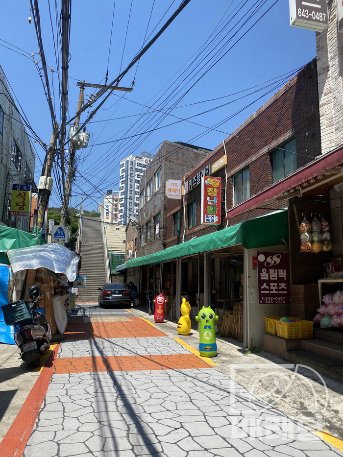 동신스폰지 이미지