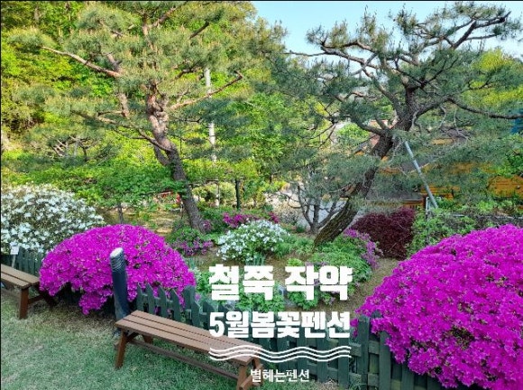 숲속펜션 이미지