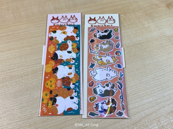 루피쉬스튜디오 이미지
