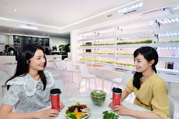 팜카페 이미지