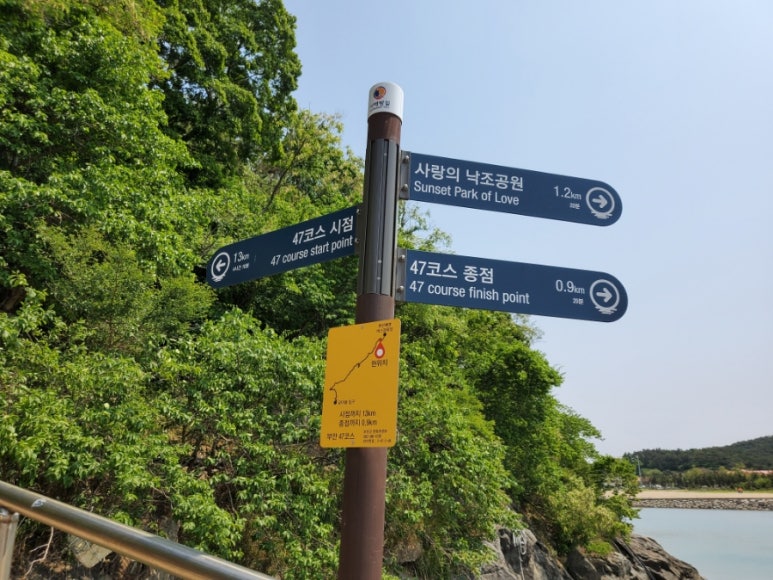 바다숲 풀내음 이미지