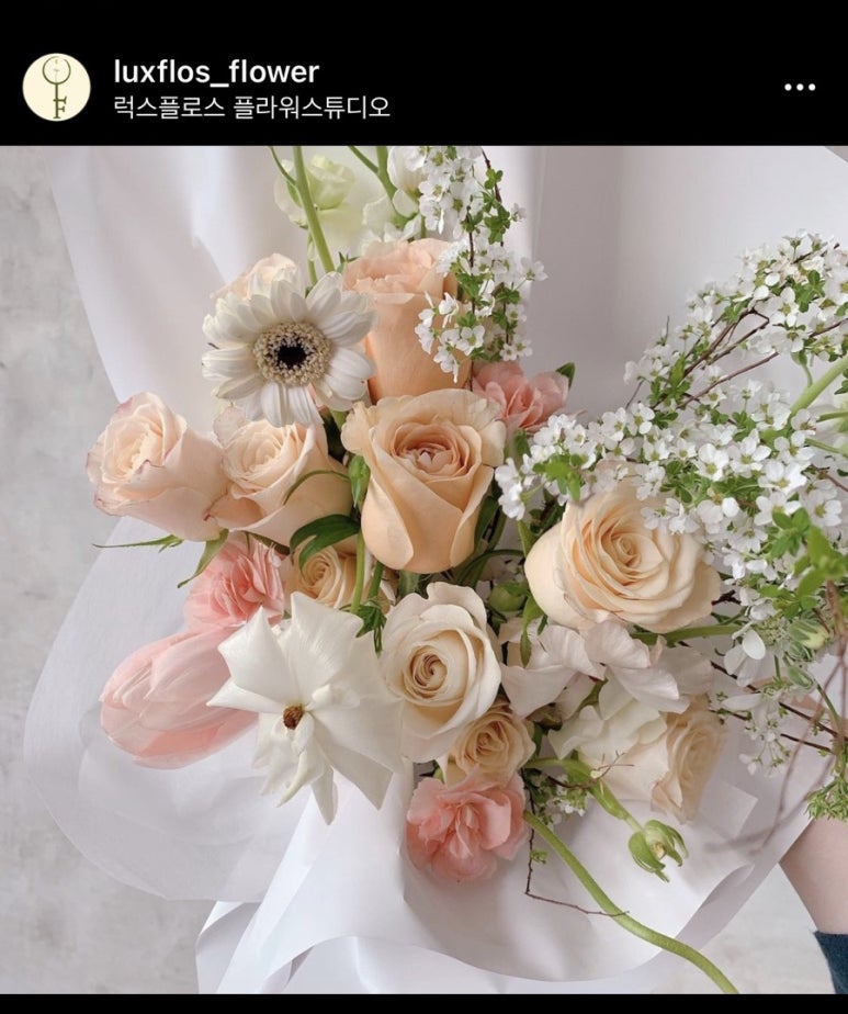 럭스플로스 이미지