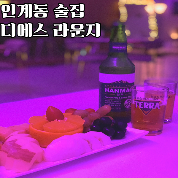 디에스라운지 이미지