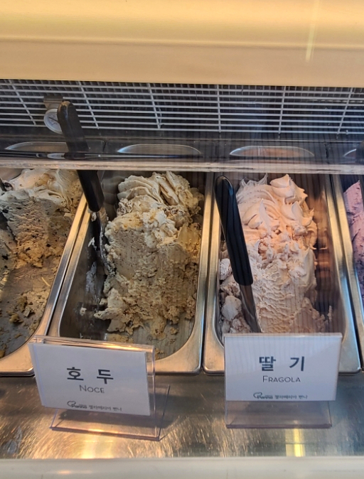 젤라떼리아빤나 이미지