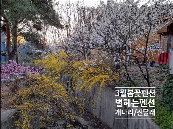 숲속펜션 이미지