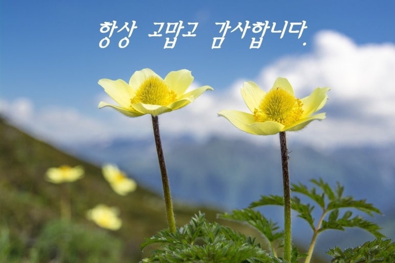 CHIARA끼아라 이미지