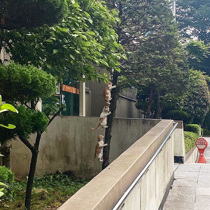 세꼬시집 이미지