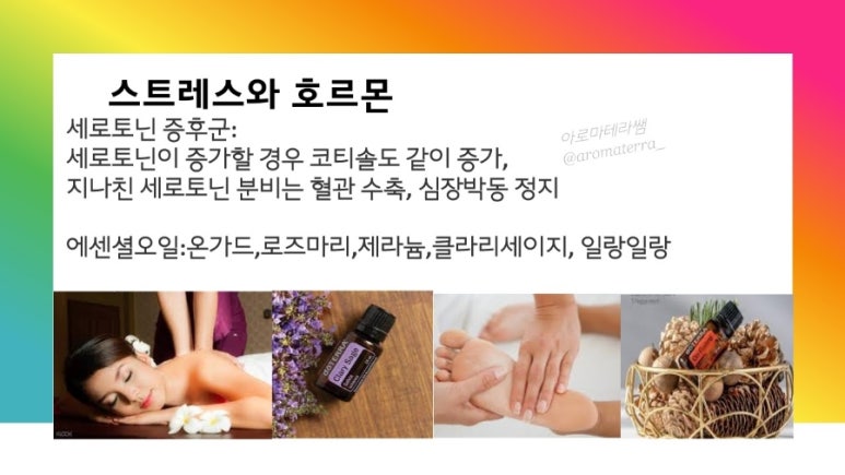 시즌테라피 이미지