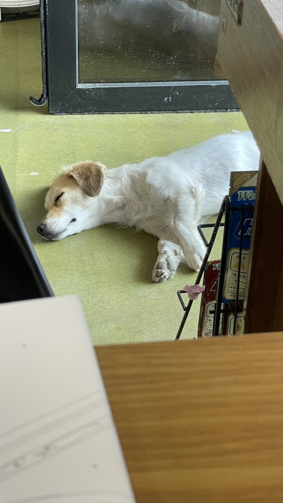 카페여연 이미지