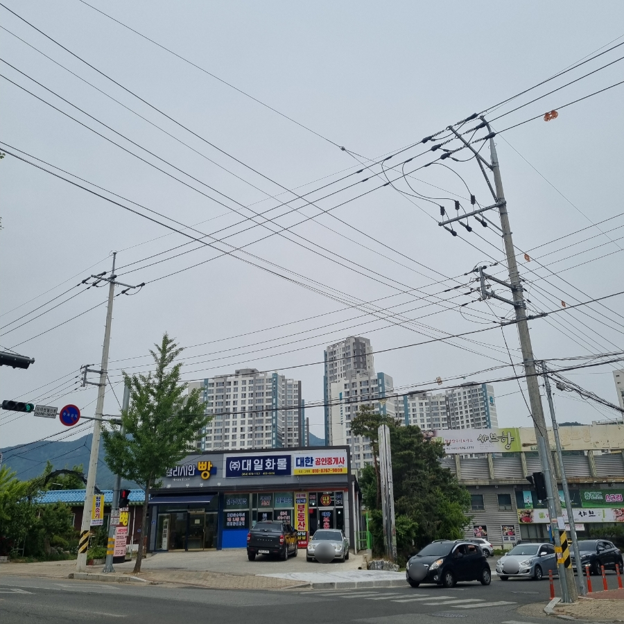 엘리시안앤커피 이미지