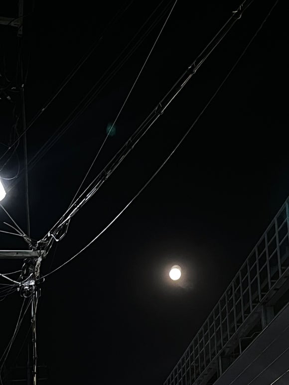 오니기리와이규동성모 이미지