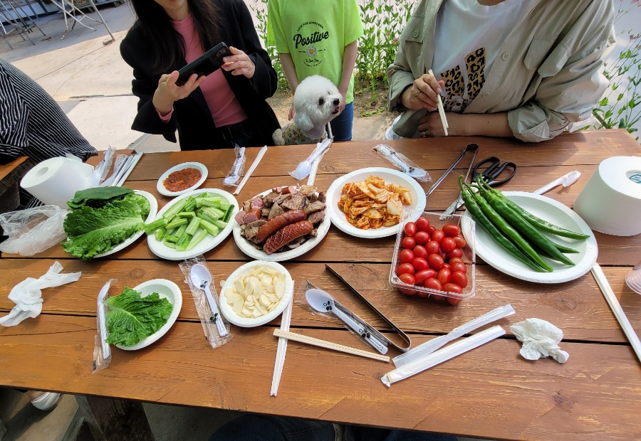 일일일영 이미지