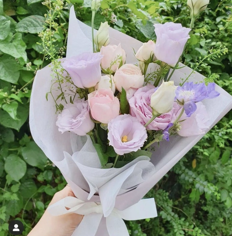 럭스플로스 이미지