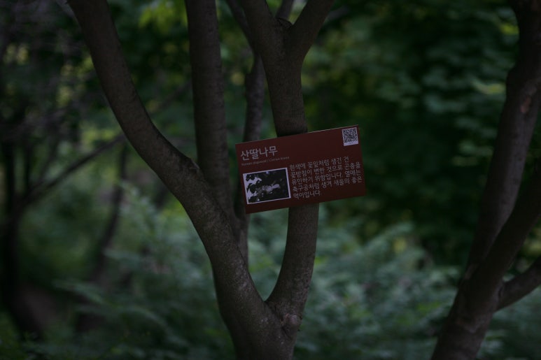 식물하나담다 이미지