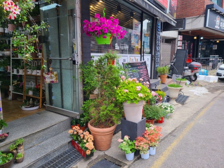 예쁜꽃방 이미지