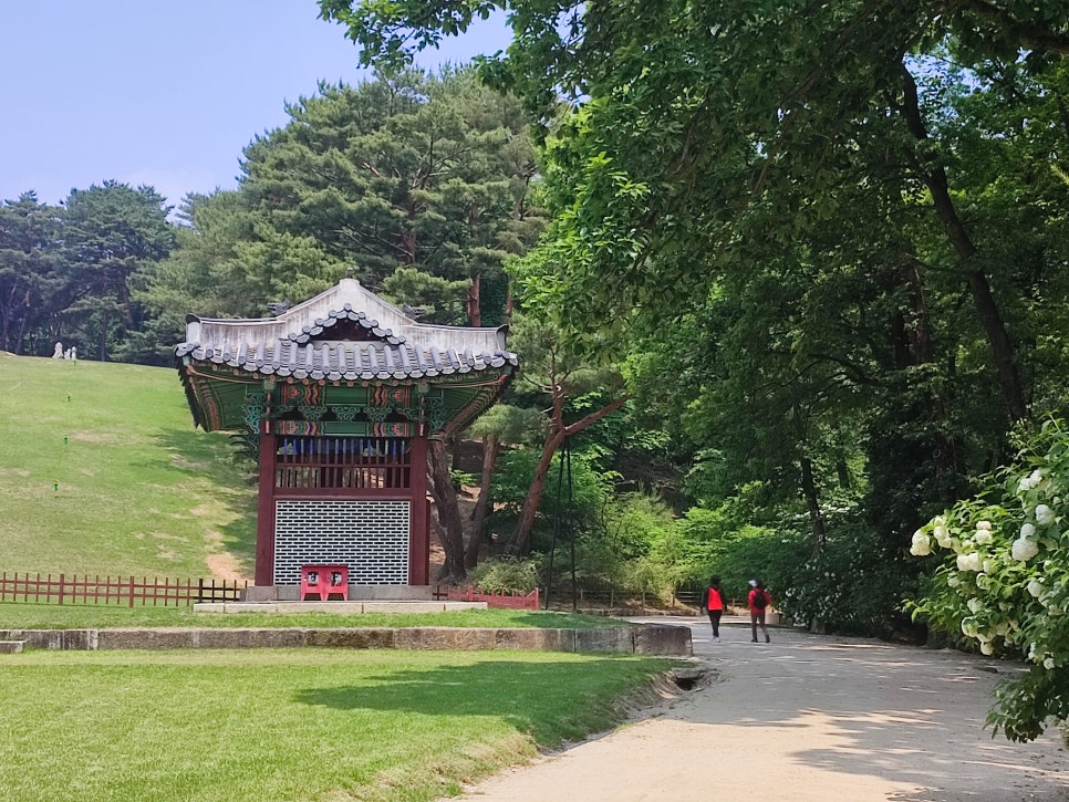 힐링 이미지