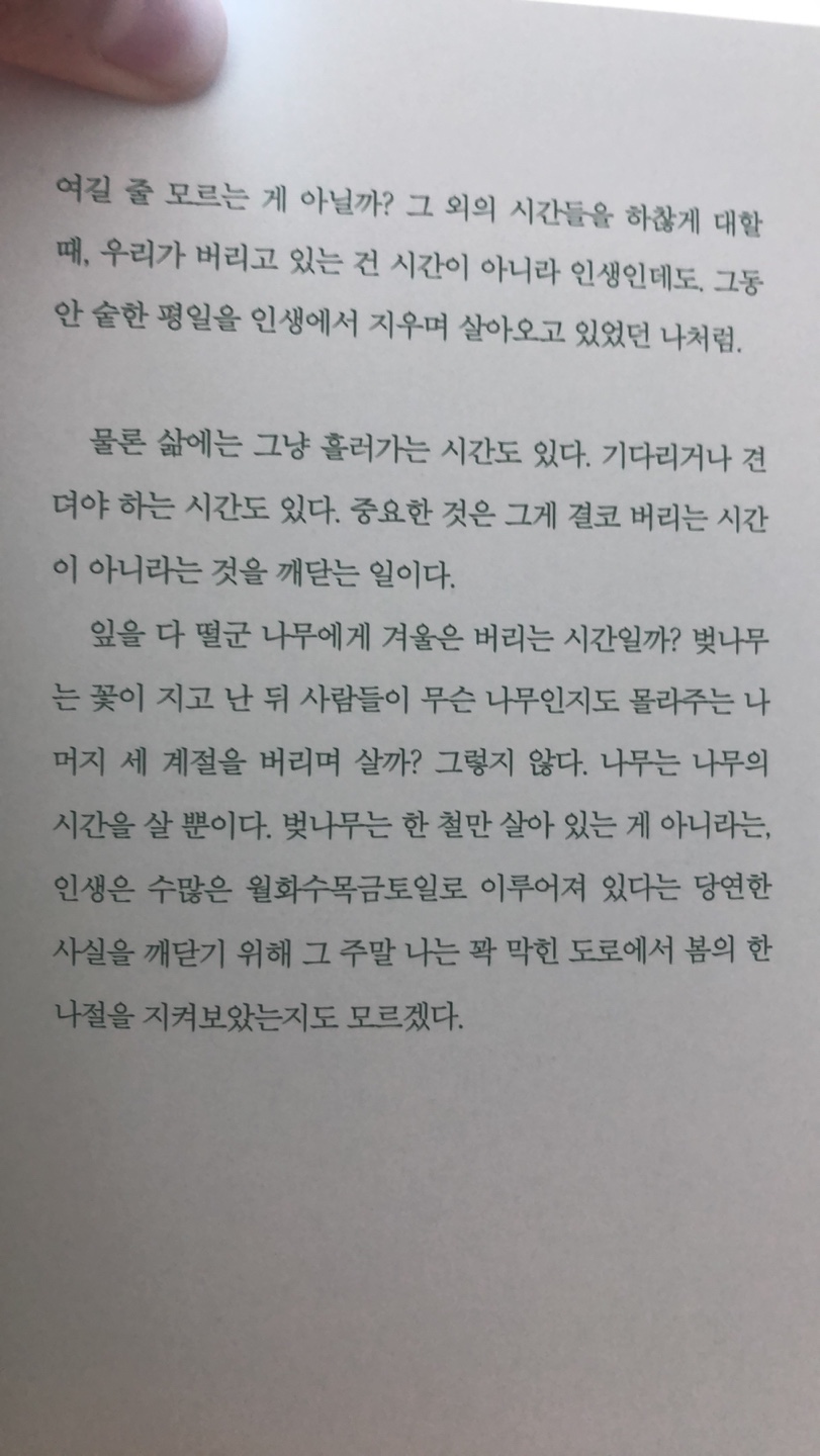 삼척 활기 치유의 숲 이미지